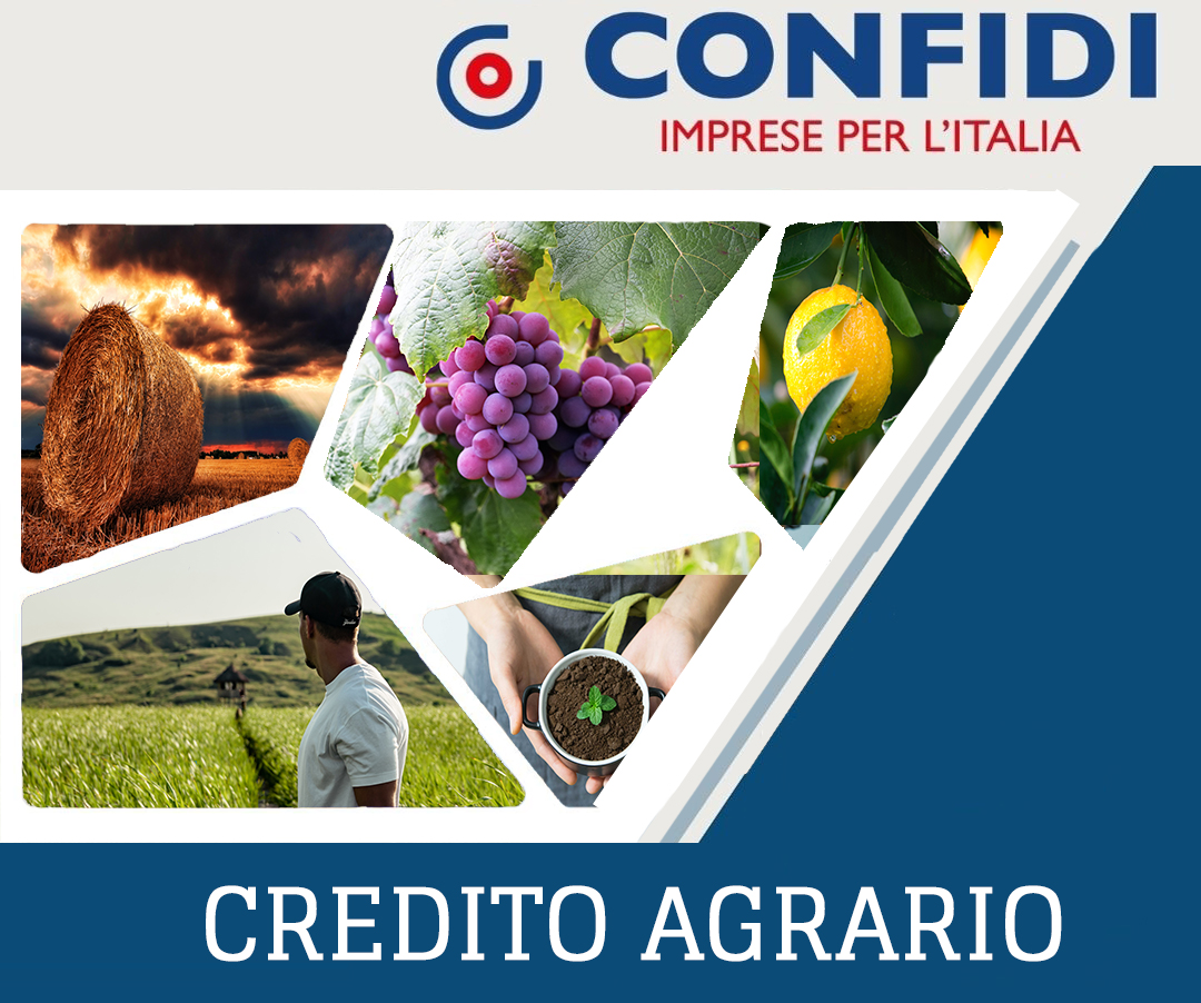 Credito Agrario Confidi Imprese per l'Italia finanziamenti pmi agricoltura Credito Agrario Confidi Imprese per l'Italia finanziamenti pmi agricoltura